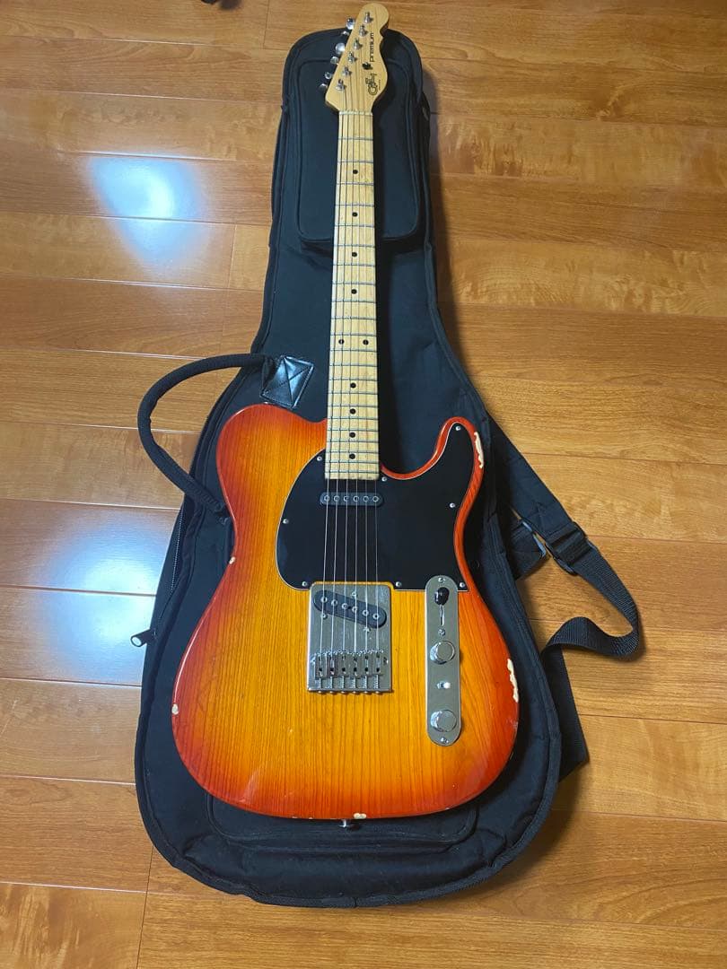 ギター SAKURA303