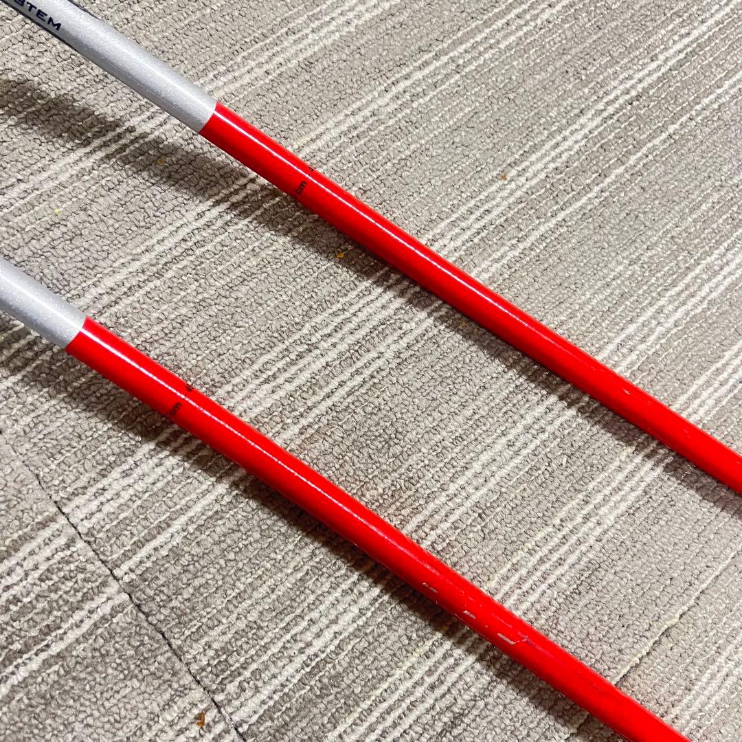 ☆LEKI Worldcup Racing GS用ポール 123cm