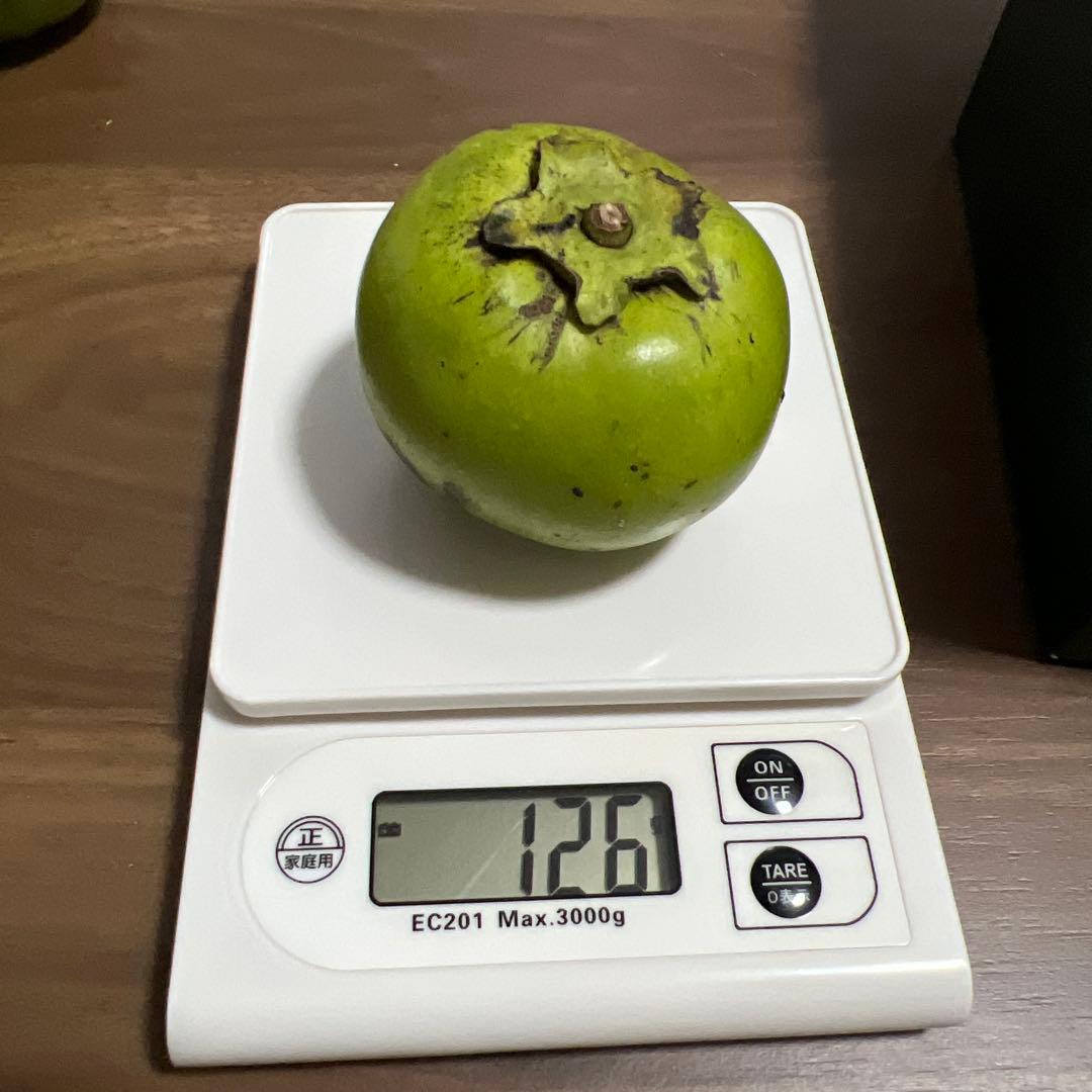 沖縄県産ブラックサポテ