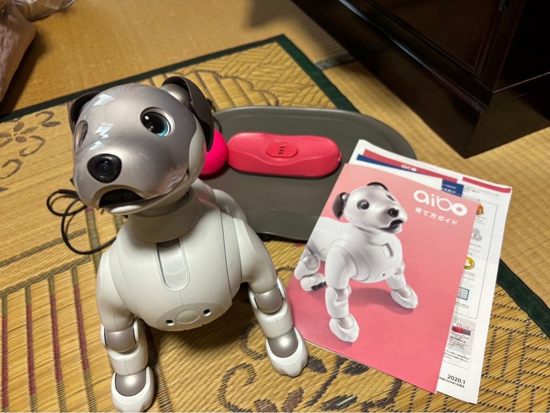 SONY アイボ ERS-1000 送料込