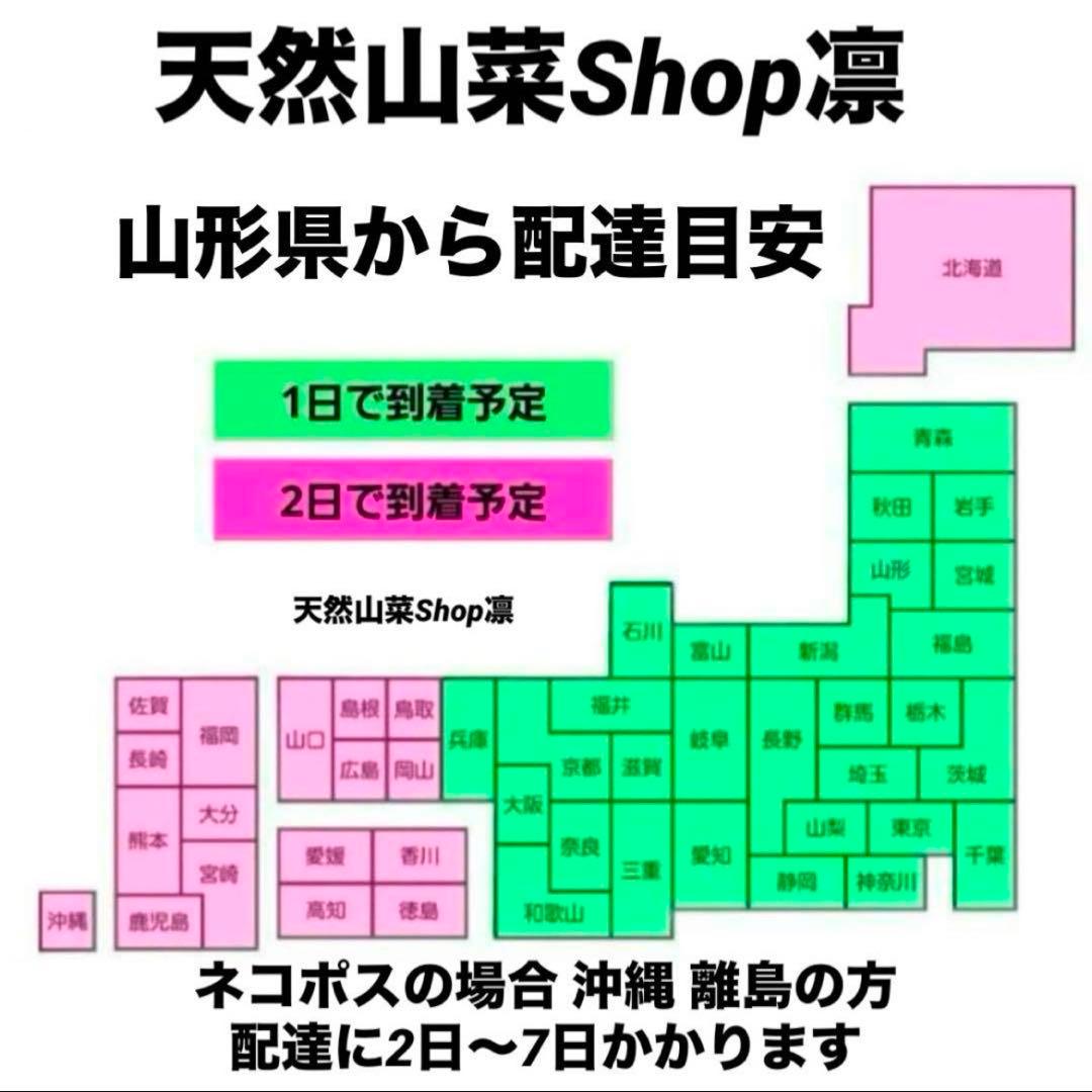 天然きのこ 松茸 国産 良品‼️ マツタケ まつたけ 大自然の凛さん採取その110
