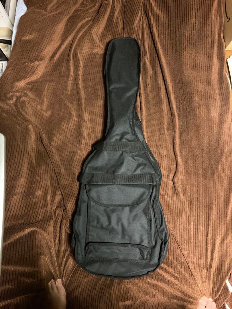 ギター BUSKER'S Les poll guitar
