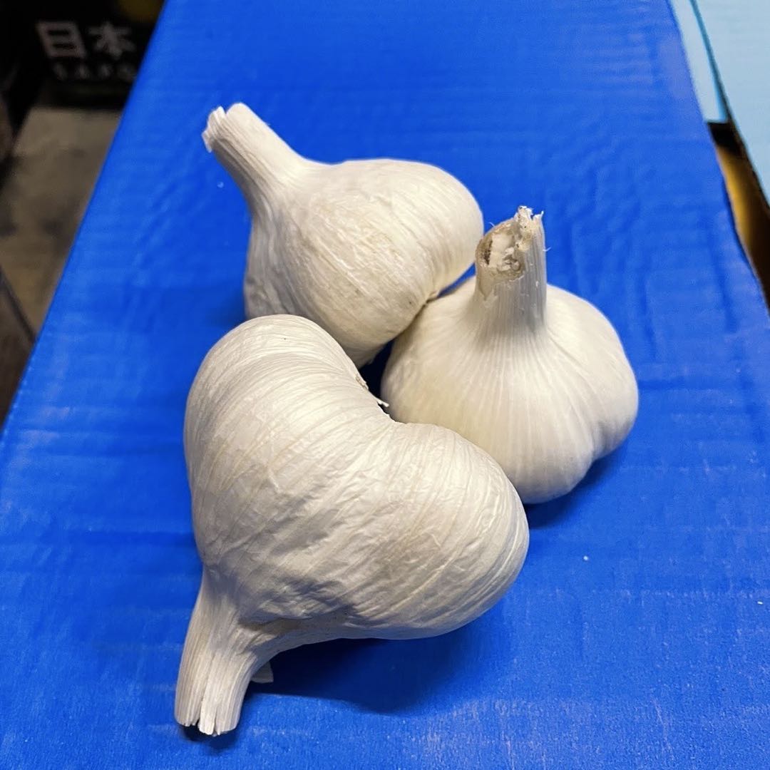 サキ 5kg