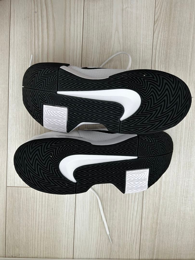 ナイキ NIKE テニスシューズ メンズ GP チャレンジ Pro FB3145