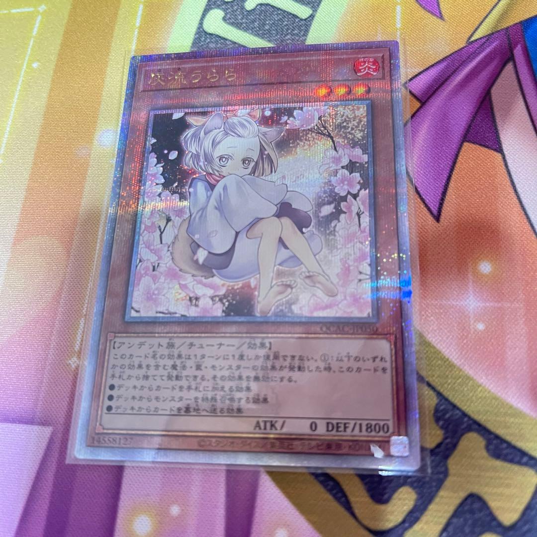 灰流うらら 25th 絵違い クオシク 遊戯王