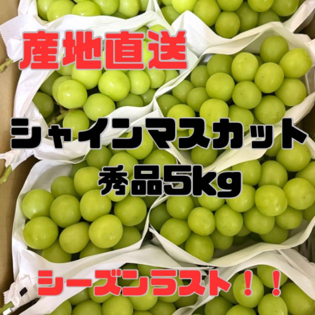 【山梨県産】シャインマスカット 5kg 産地直送