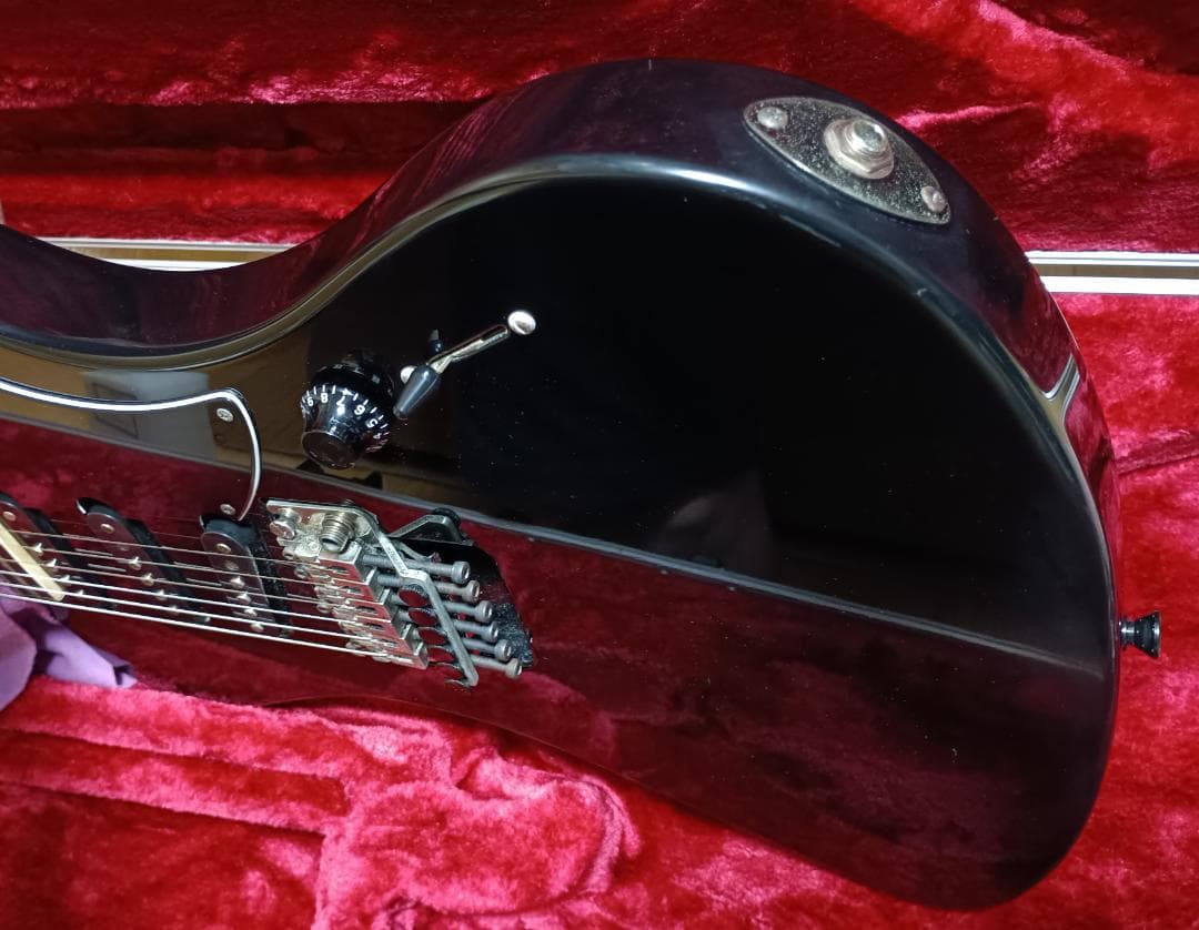 【SUGIZO直筆サイン入り！】 LUNASEA　TLRS　　　ESP R-Ⅰ