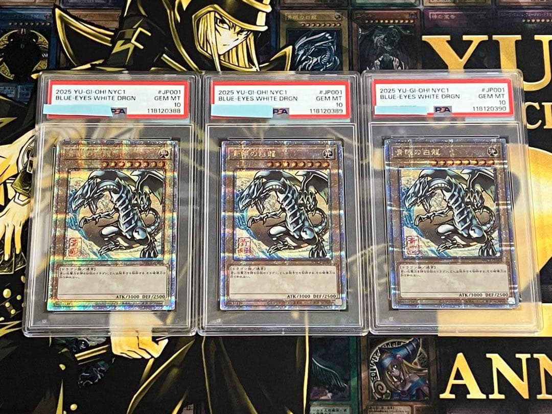 青眼の白龍　浮世絵　PSA10連番