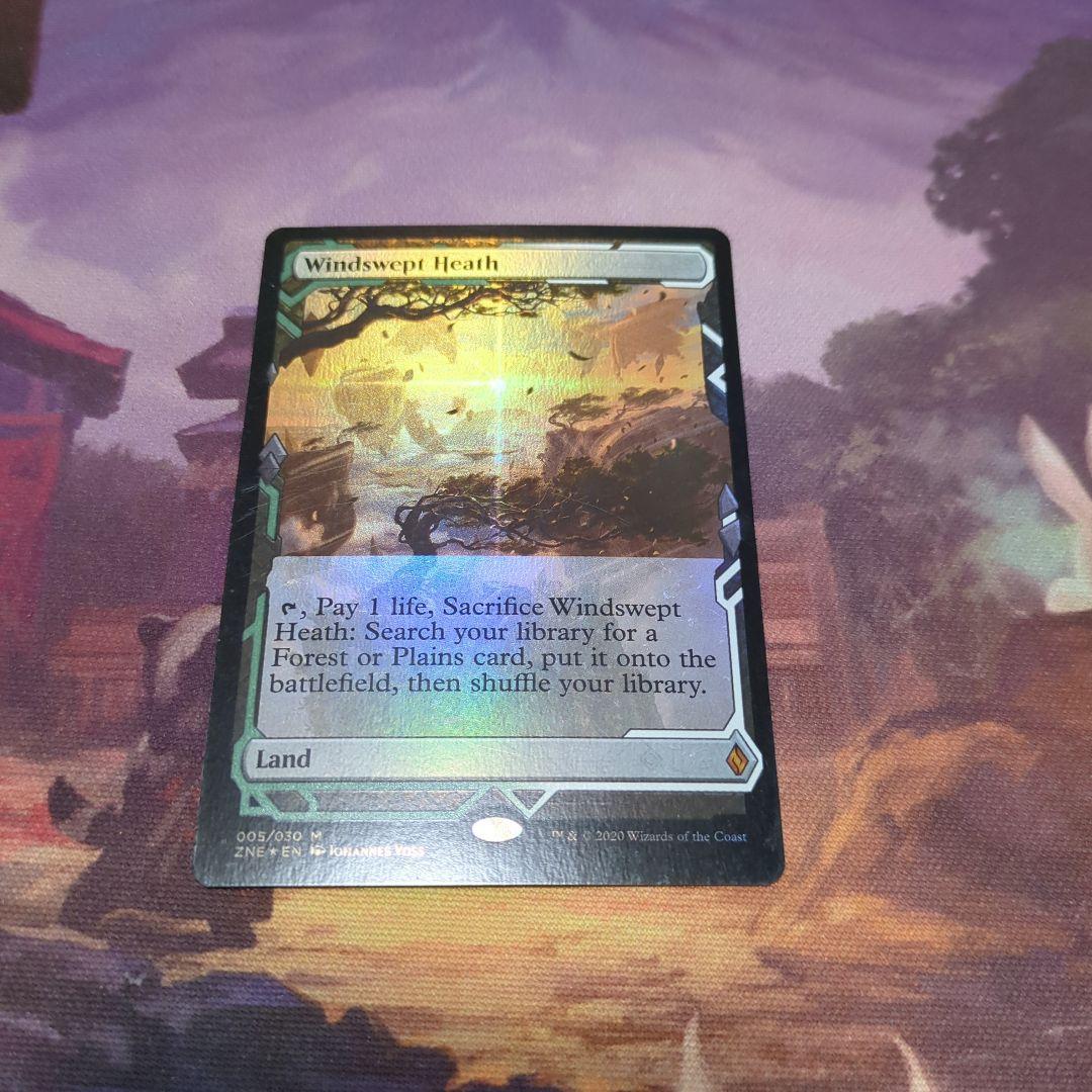 MTG 吹きさらしの荒野 ZNE 英語版 Foil