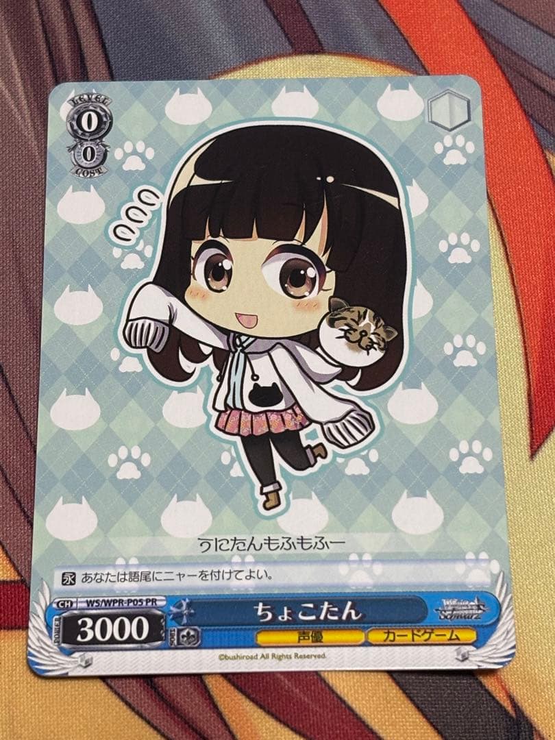 WS PR ちょこたん
