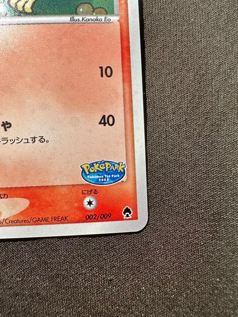 美品　ポケパークのアチャモ　ポケパークプレミアムファイル 002/009