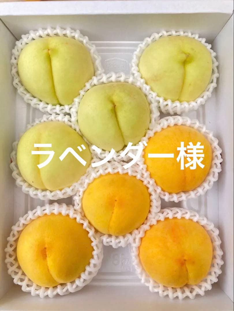 岡山の白桃(6)白露　黄金桃　8玉　2.5キロ　藤井農園　9/4収穫　進物可能