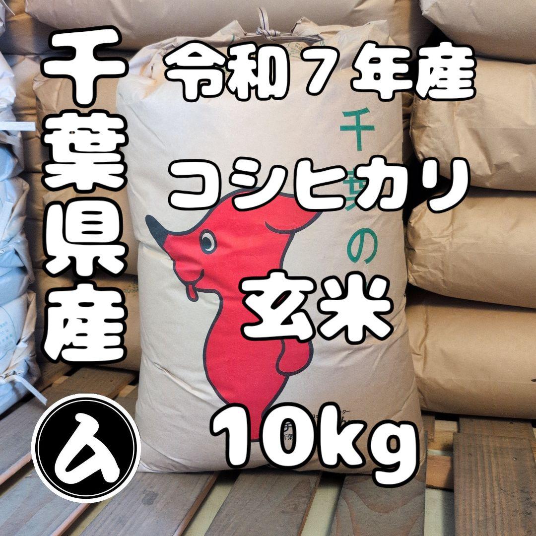 令和7年度 新米 千葉県産 コシヒカリ 玄米 10キロ ※ご希望の方は無料精米