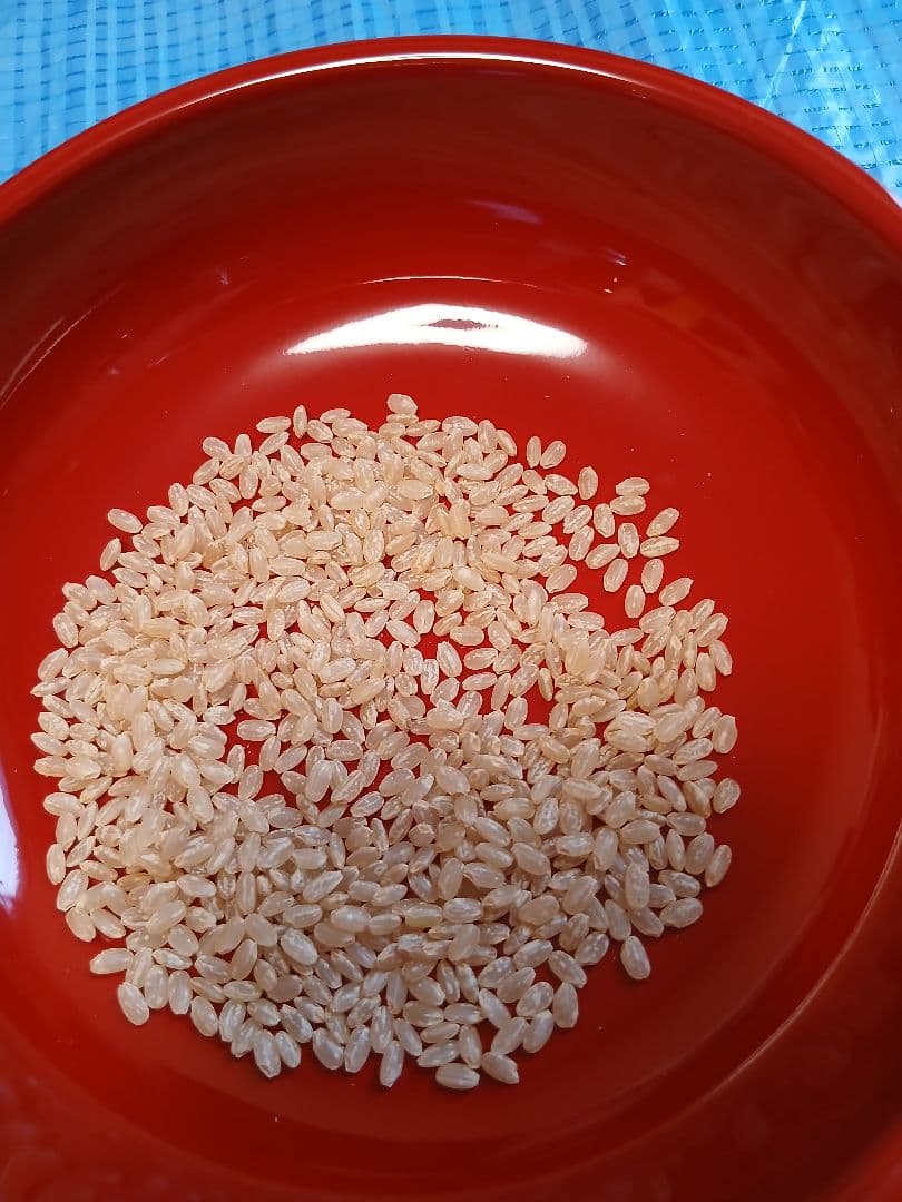 令和4年産　秋田県湯沢市産　あきたこまち　一等玄米約20㎏（約5kg×4袋）