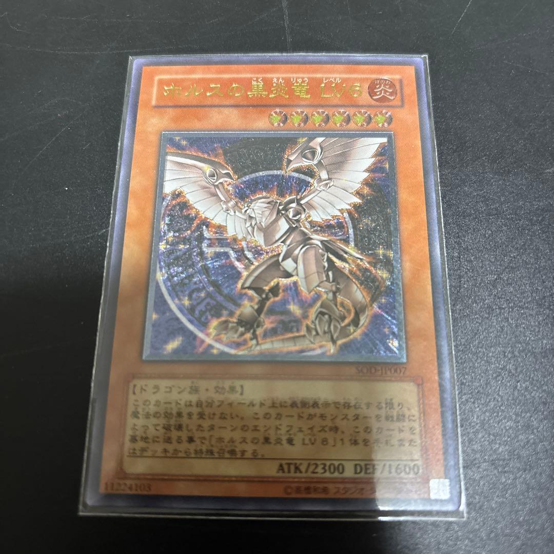 ホルスの黒炎竜LV6