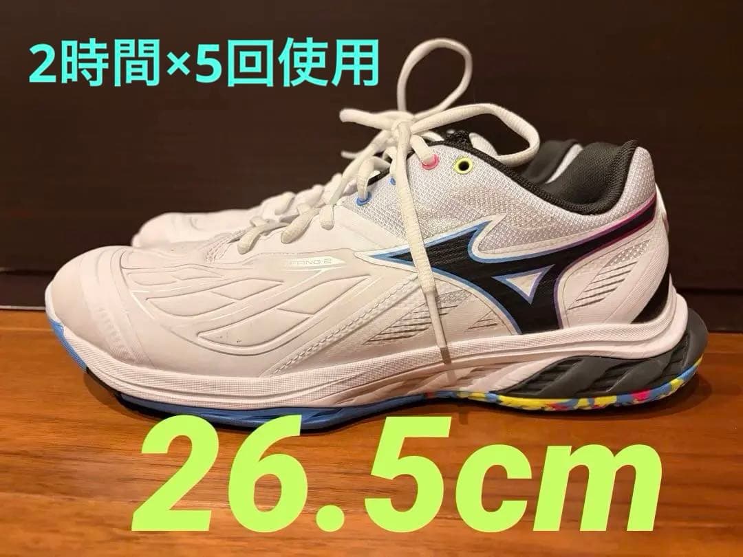Mizuno wave clow fit 2バドミントンシューズ