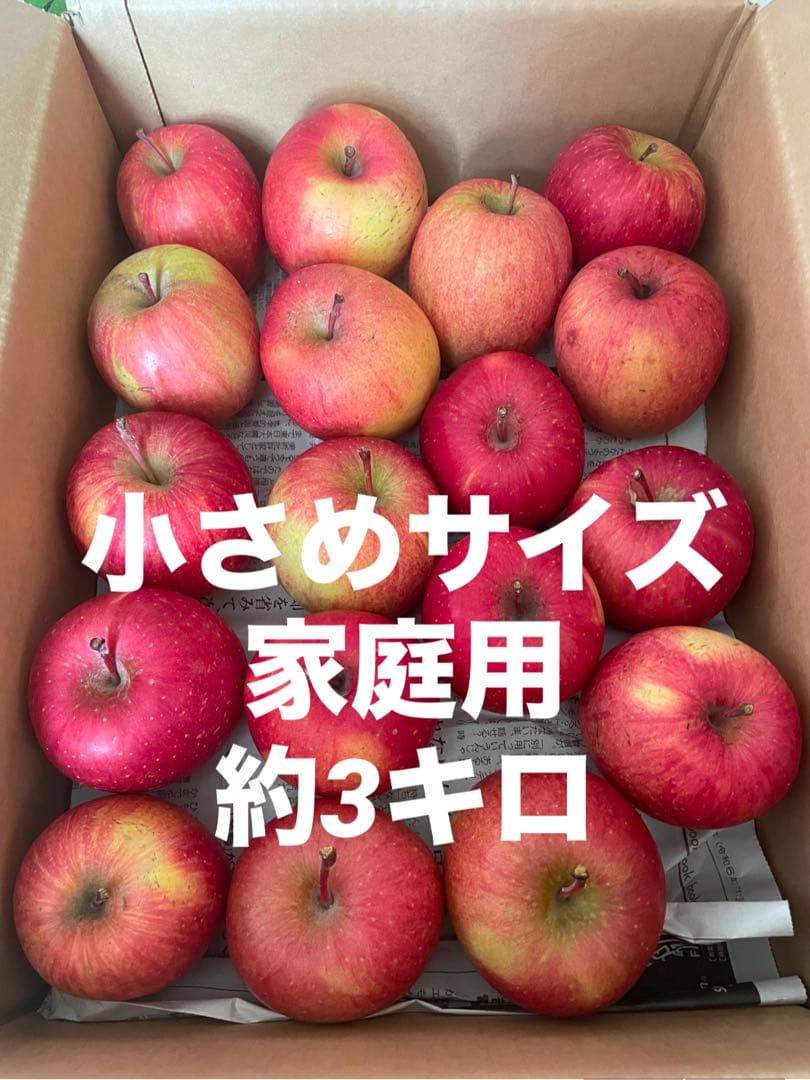かじゅ