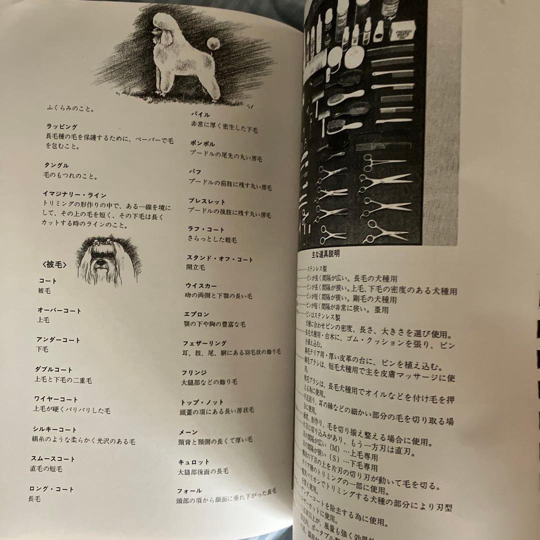 トリミングシザーセット30万前後