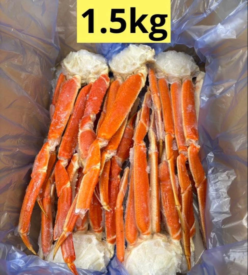 【年末分予約専用ページ】冷凍ボイル本ズワイ蟹 カニ 1.5kg 5~7肩
