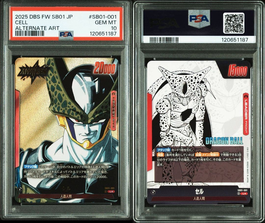PSA10セル 1187