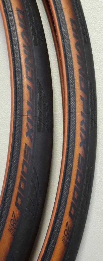 GRAND PRIX 5000 28C コンチネンタル GP5000