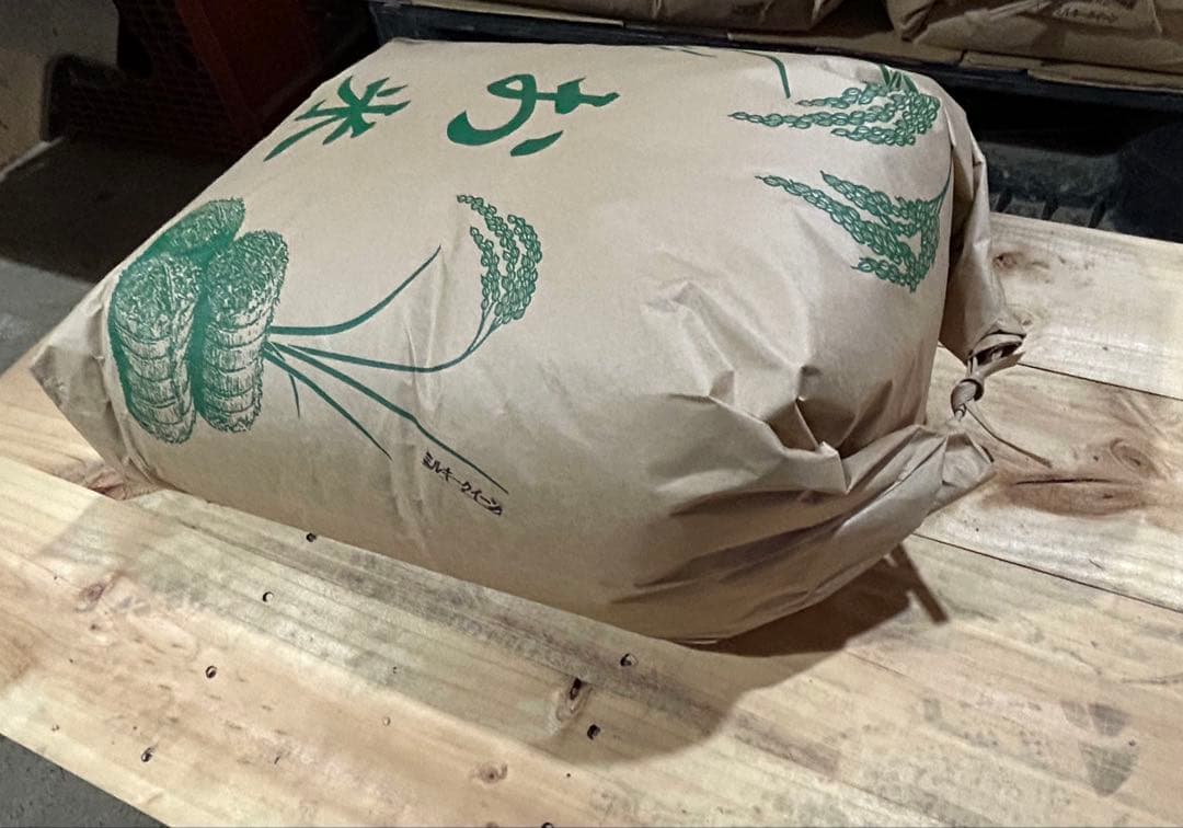 モモタ