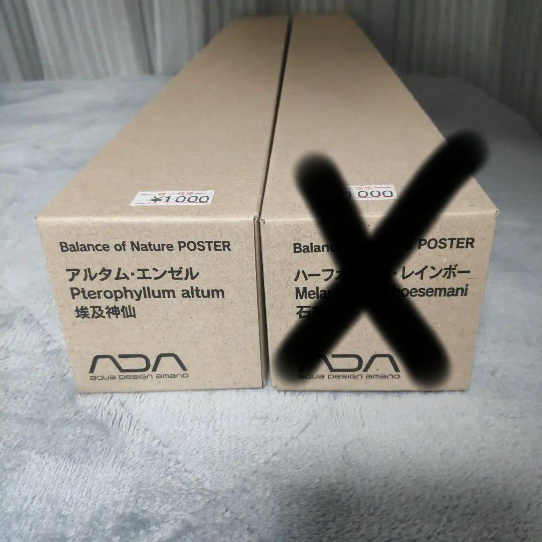 ADA ポスター