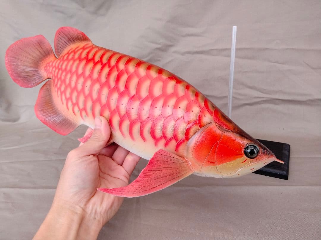 ハンドメイド　41cmアロワナ　レッド　フィギュア　レプリカ　熱帯魚　模型