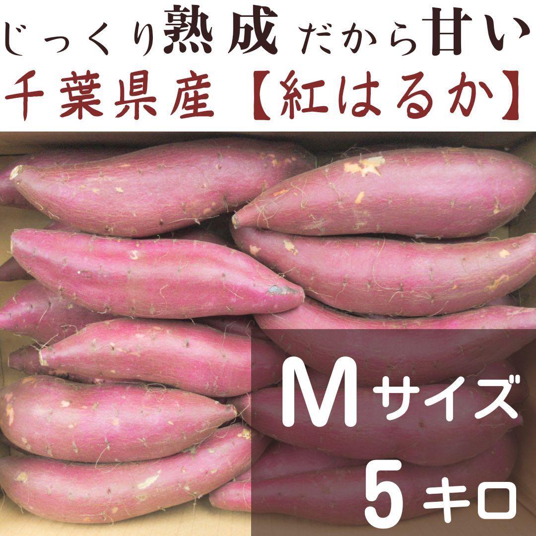 なつこ 紅はるか 4ケース