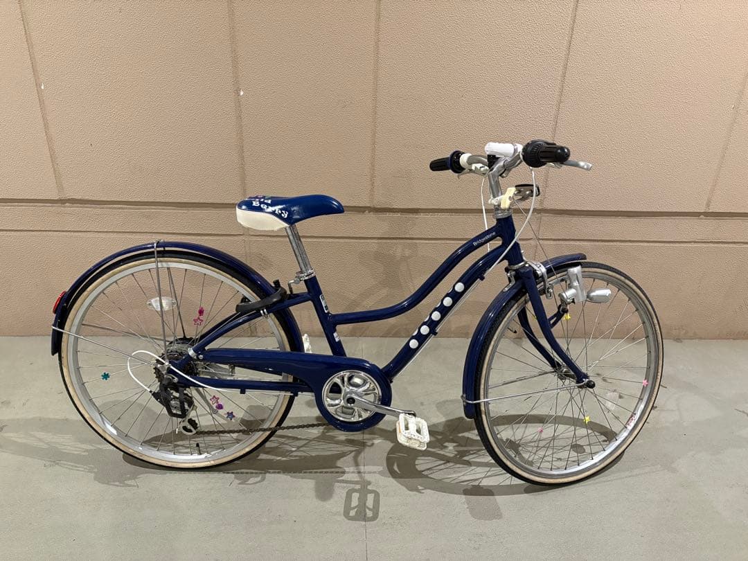 子供用自転車 ブリヂストン　Wild Berry 22インチ