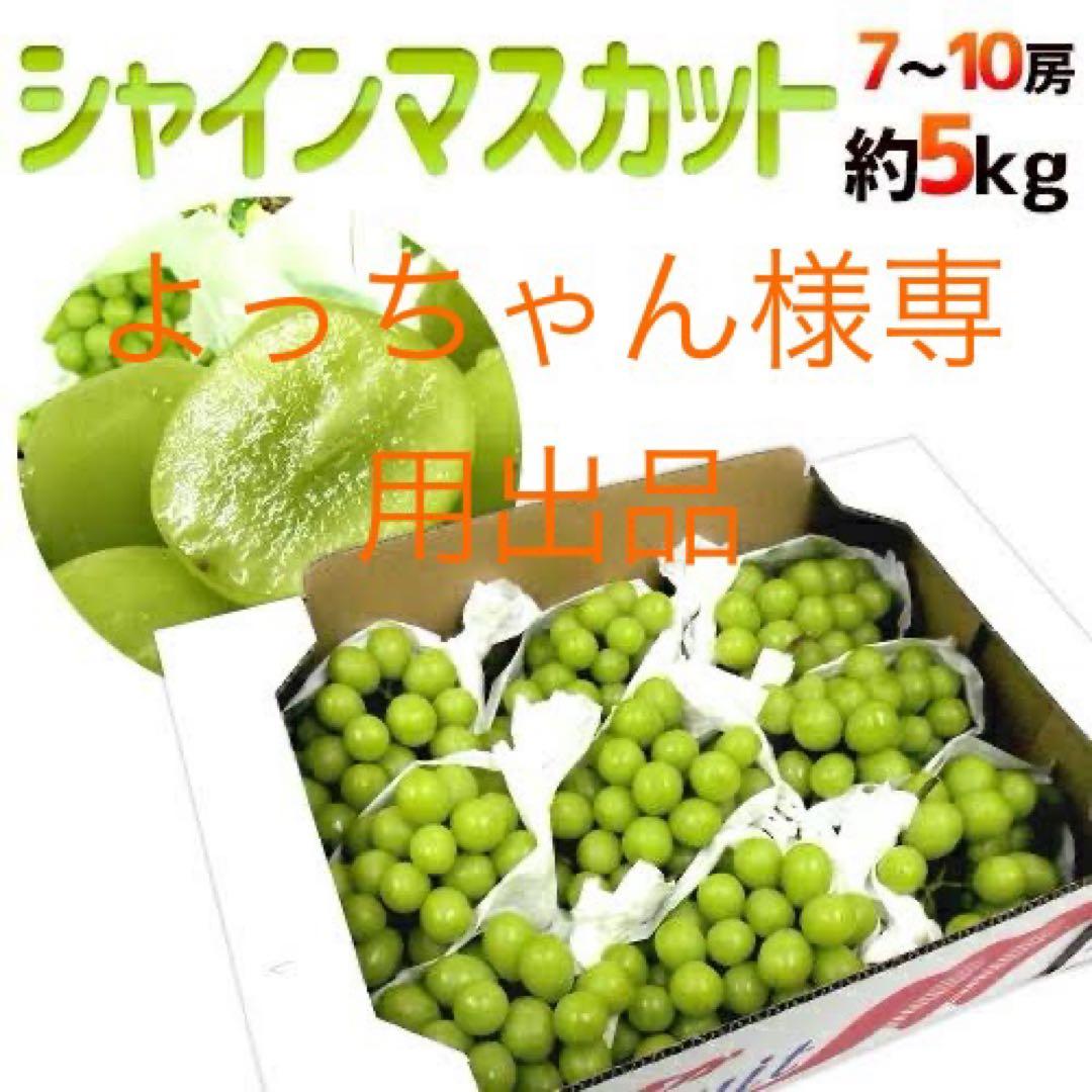 よっちゃん出品　シャインマスカット大粒5kg