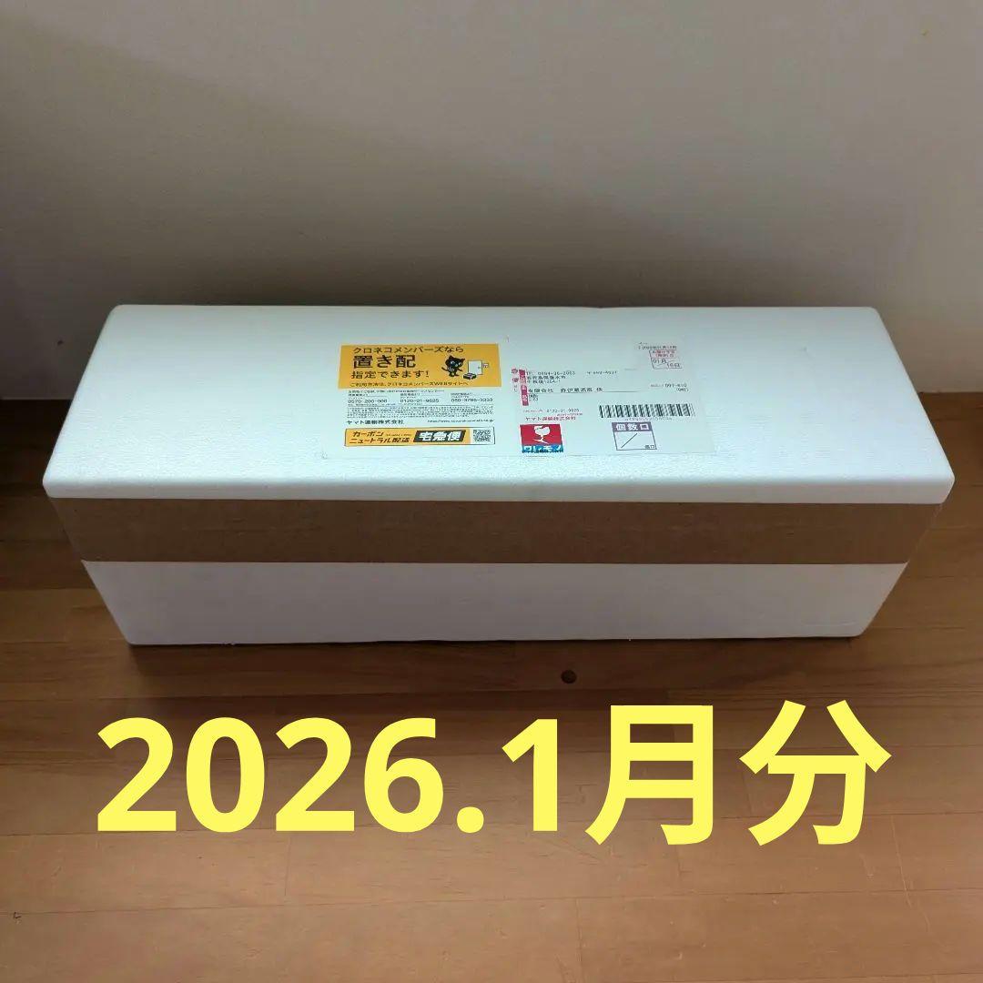 森伊蔵　1800ml 2026.1.16日到着分 酒　焼酎