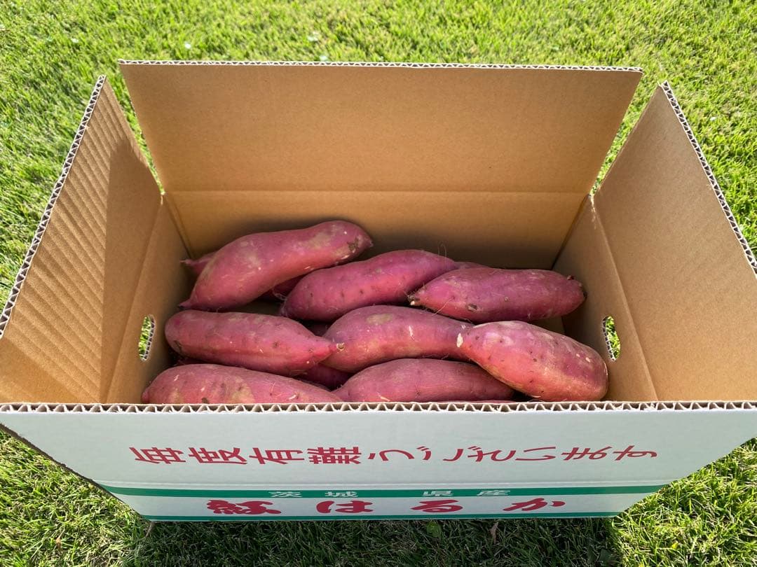 茨城県産紅はるか100キロシルク100キロ計200キロ　海花品