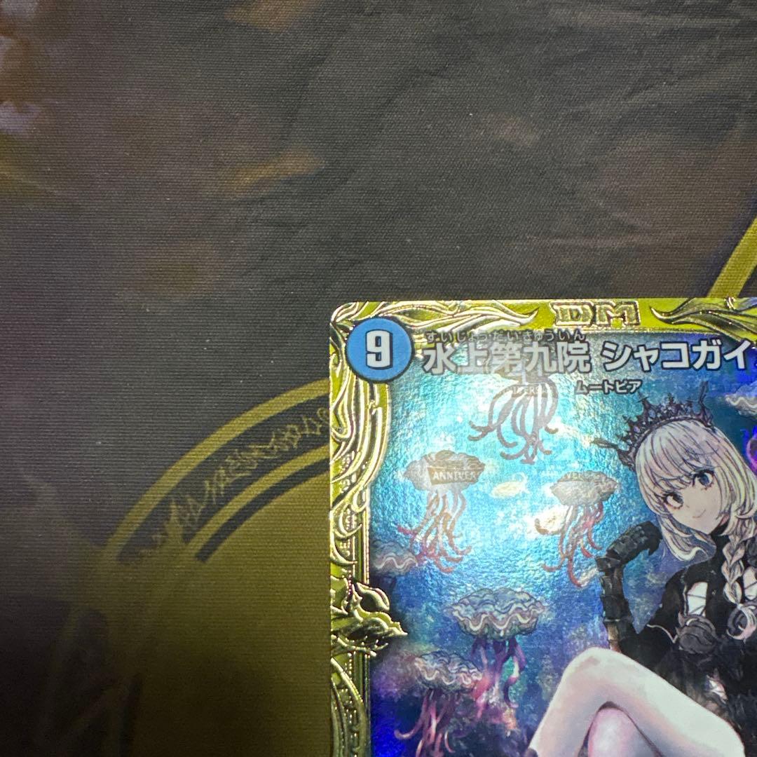 水上第九院シャコガイル　Bレア