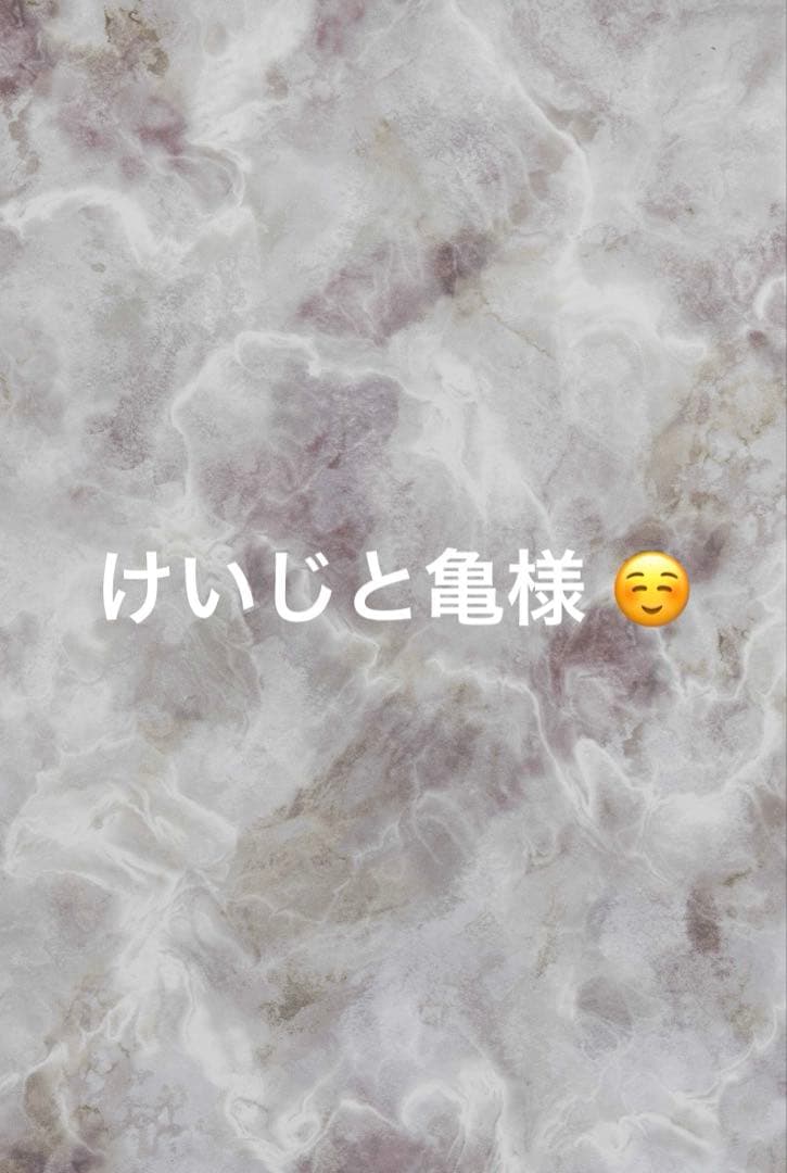 けいじと亀