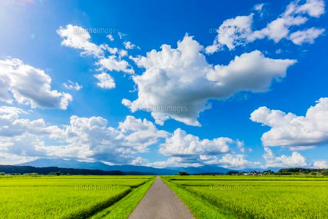 ひろ　模型