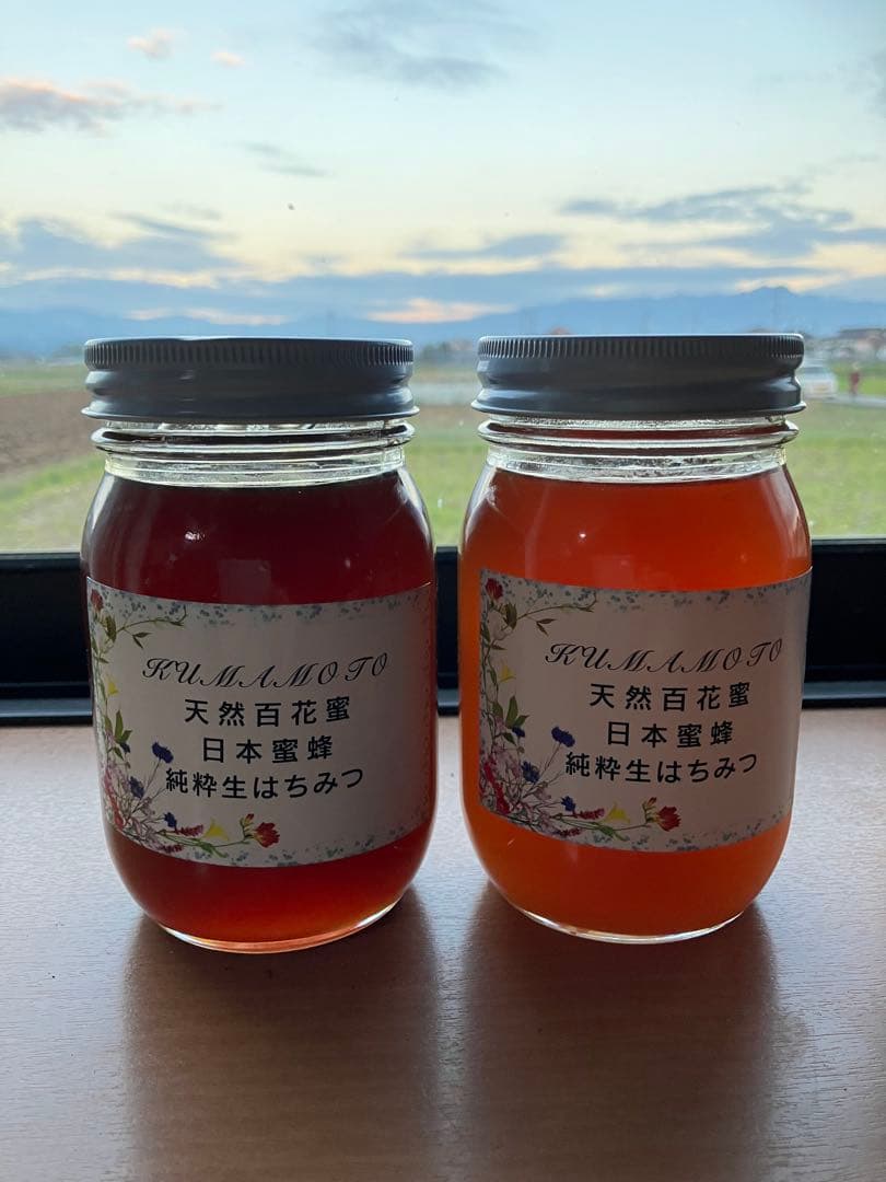 ハチミツ　日本蜜蜂の蜂蜜　はちみつ　純粋生の百花蜜