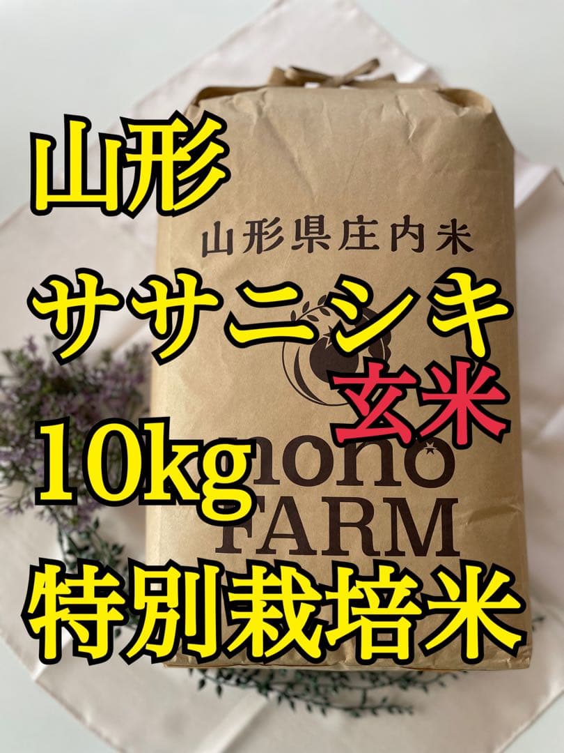 ササニシキ　玄米10kg 令和7年　山形　特別栽培米