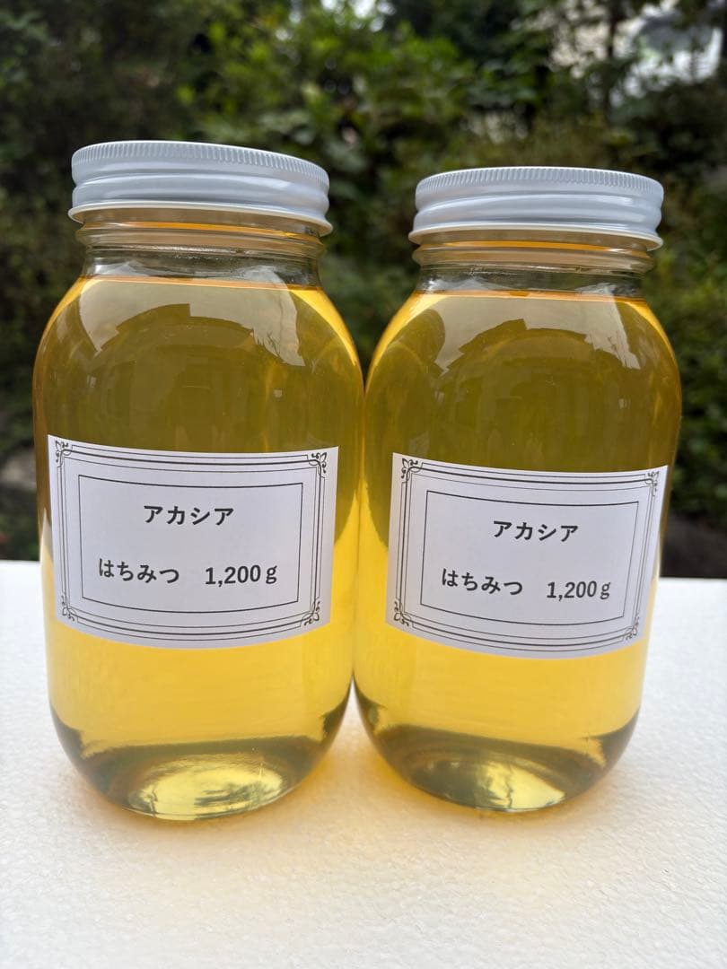 信州産　アカシアはちみつ 1,200g×2本　これでアカシアは終わりです