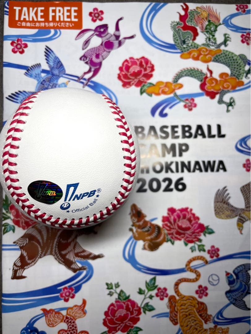 中日ドラゴンズ 金丸夢斗 直筆サインボール　2026沖縄キャンプ