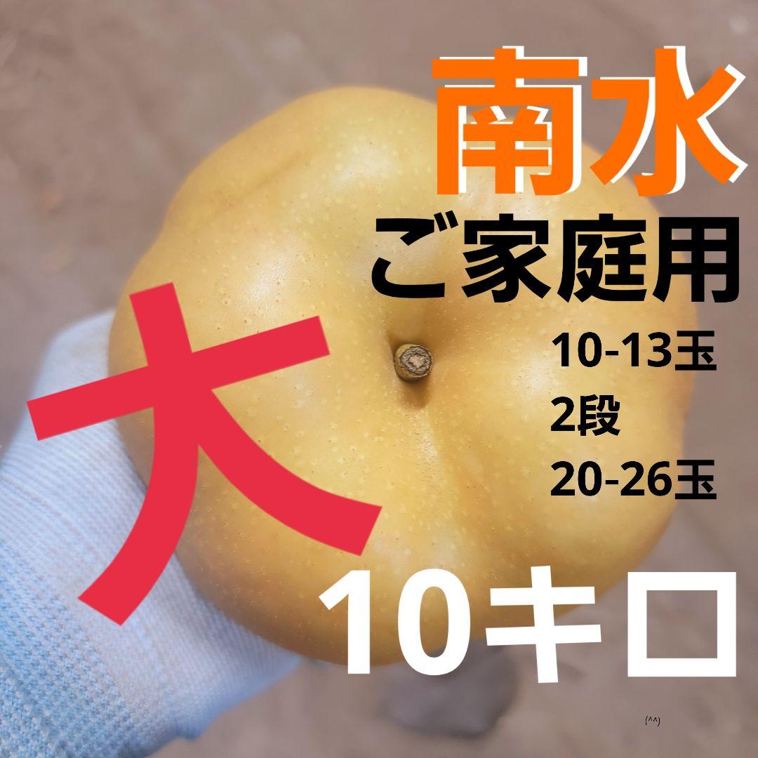 南水 ご家庭用大10キロ ストックどうぞ