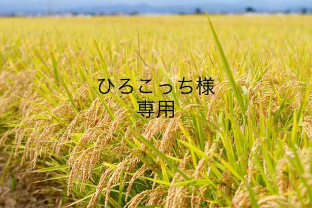 ひろこっち