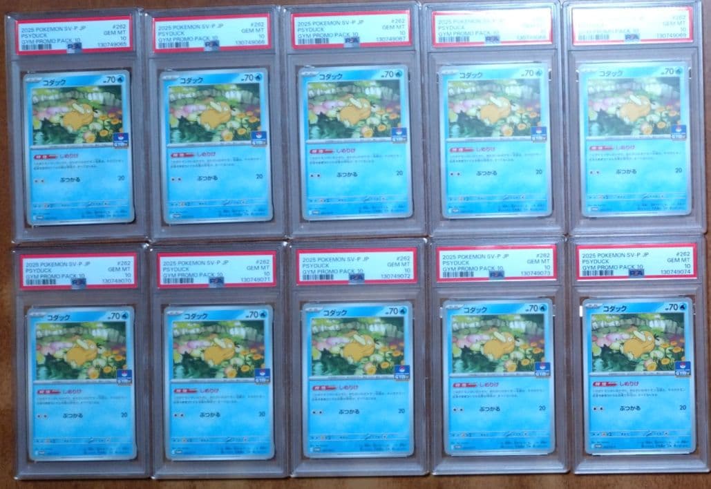 【PSA10】コダック しめりけ 262/SV-P ジムプロモ 10枚 連番