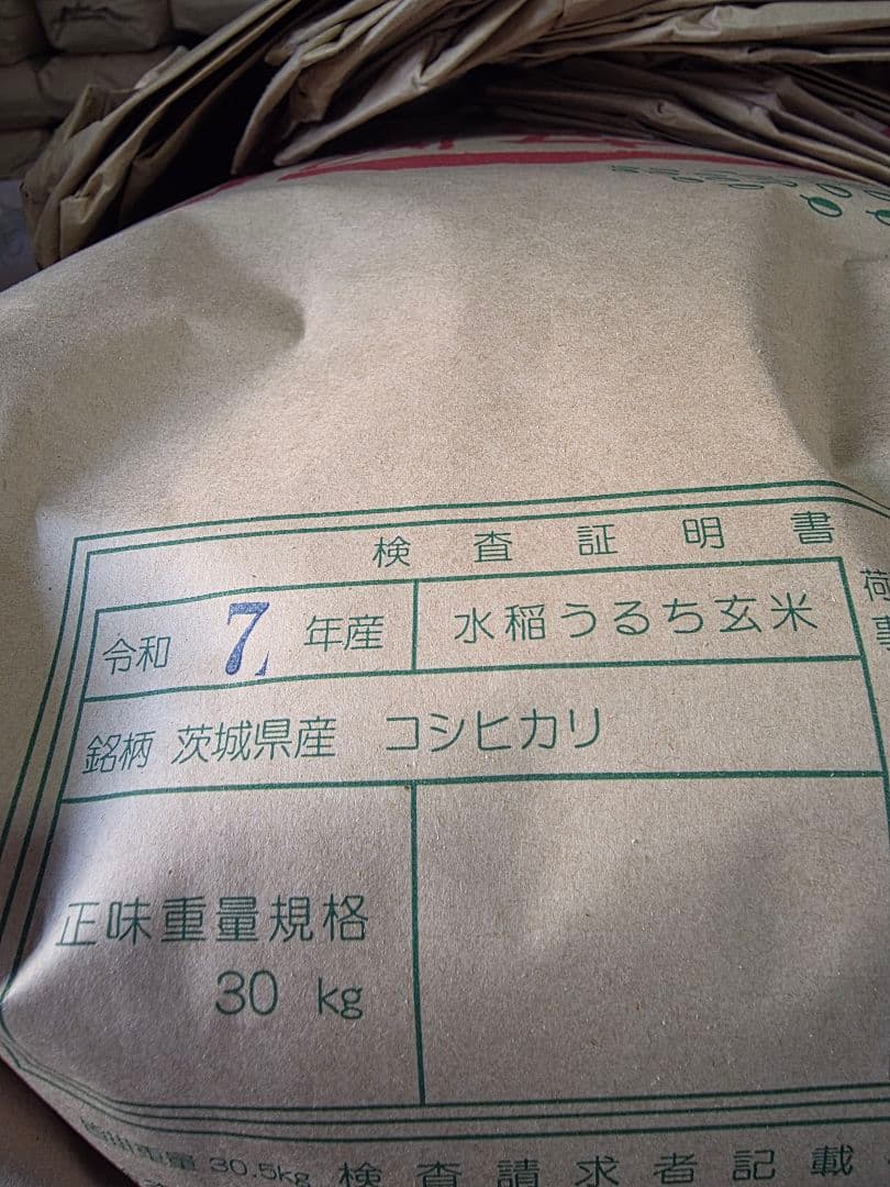 令和7年産　精米　10キロ　コシヒカリ