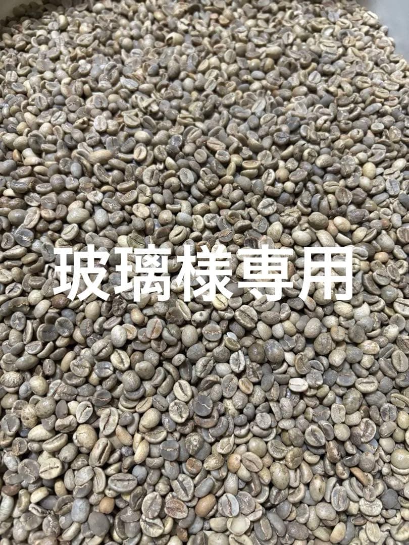 [コーヒー 生豆 ]特別3種合計10kgセット