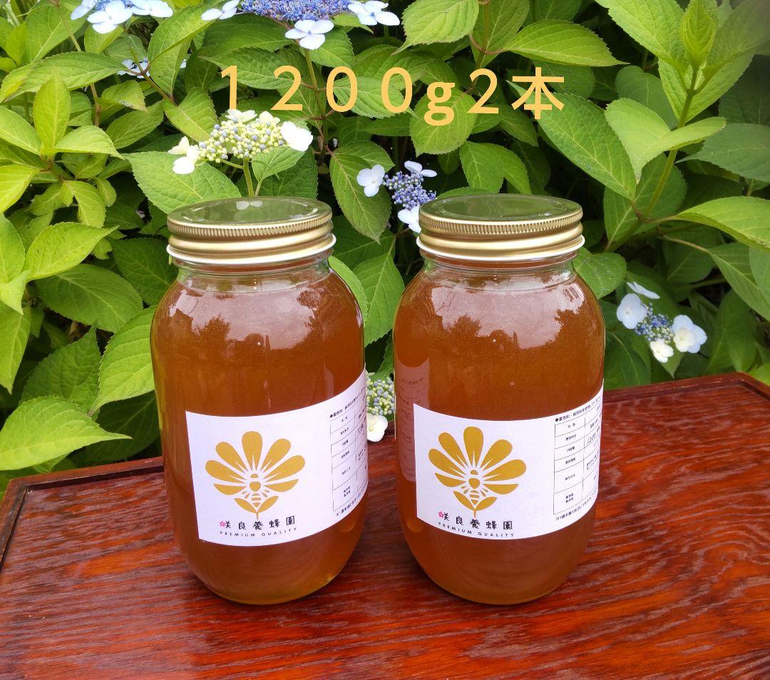 国産純粋はちみつ【1200グラム2本】無添加　 非加熱生蜂蜜