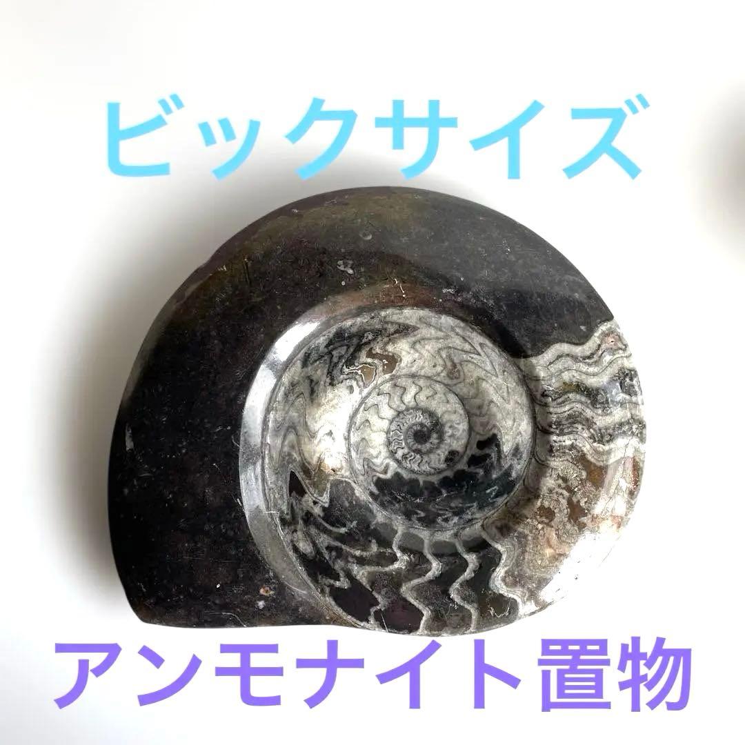 値下げ‼️【ビックサイズ 】アンモナイト化石26.5cm×31cm 4.5cm