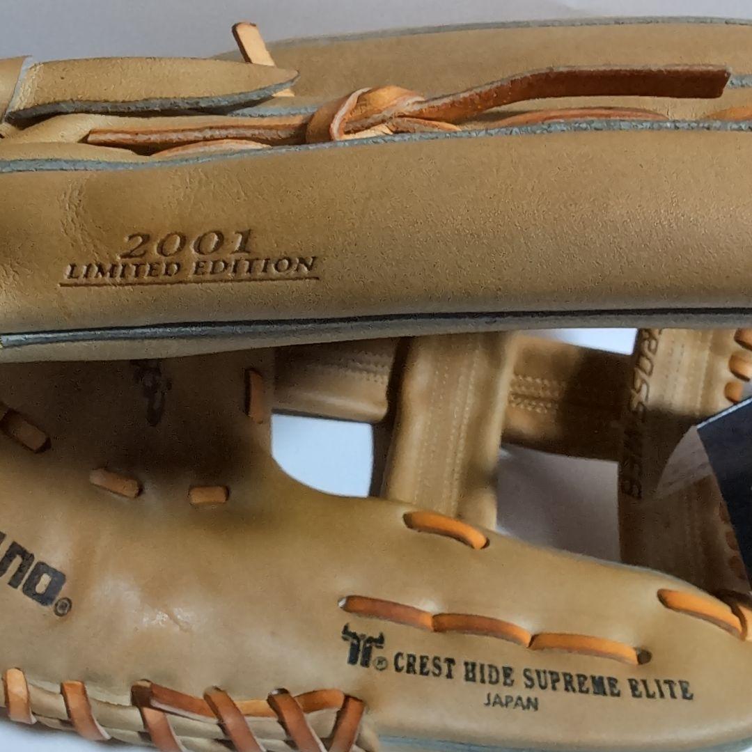 Mizuno Pro 硬式グローブ コレクション