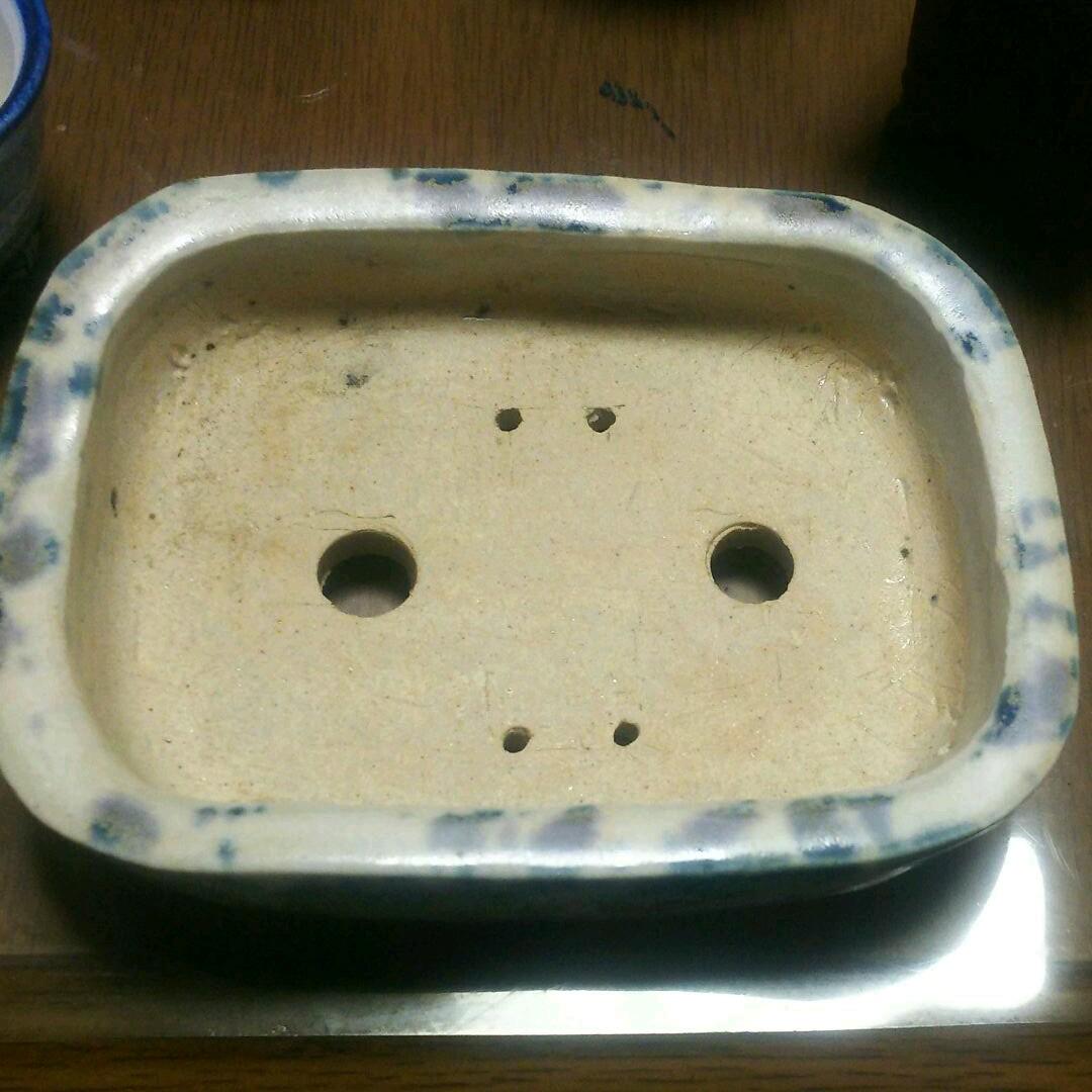 龍正   鉢