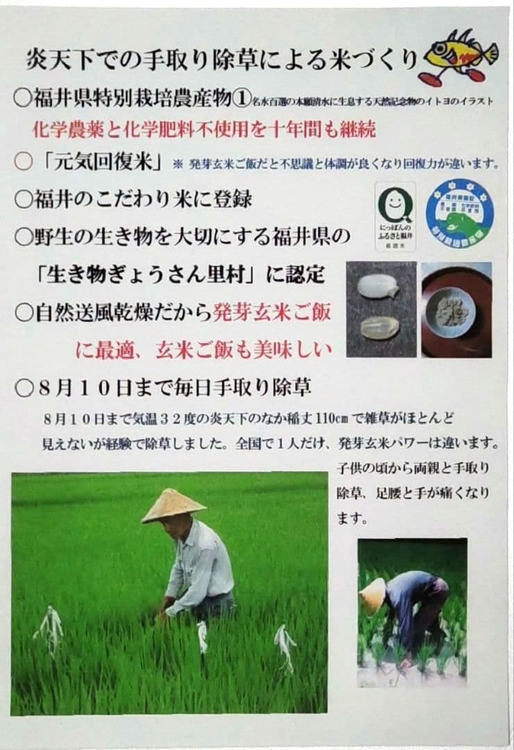 手取り除草は全国で１人だけ ７年産コシヒカリ 元気な玄米10kg農薬等不使用